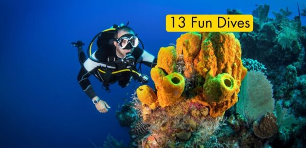 13 Fun Dives