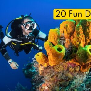 20 Fun Dives