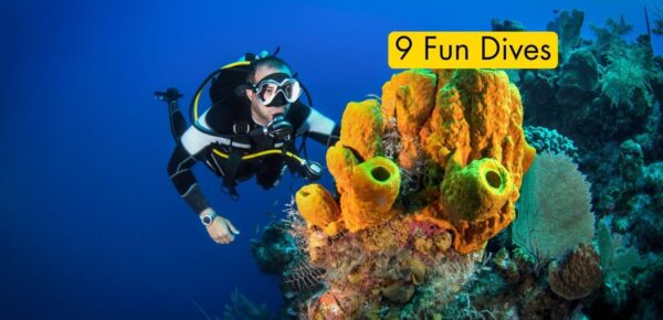 9 Fun Dives