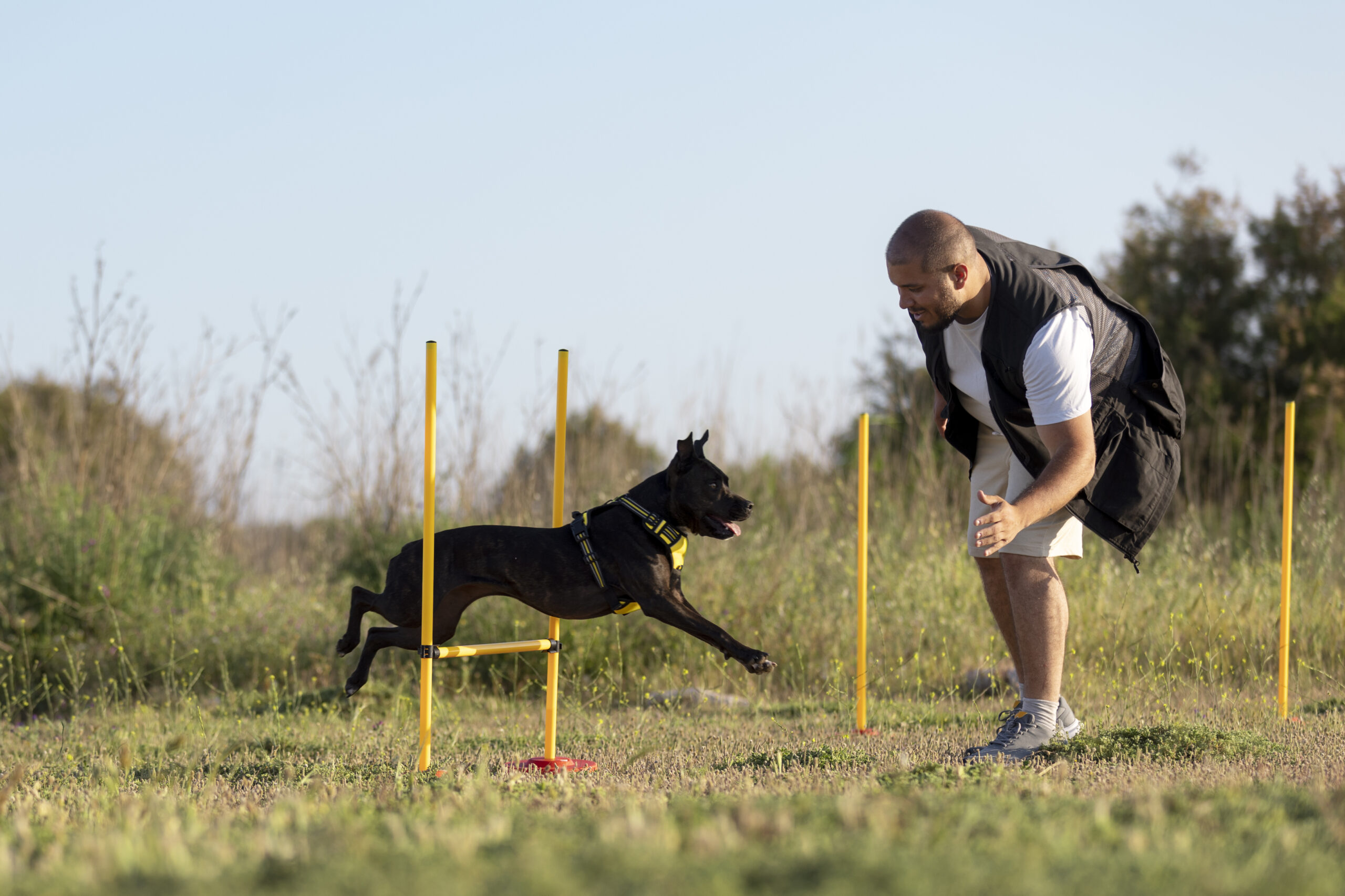 Thor Working Dogs
